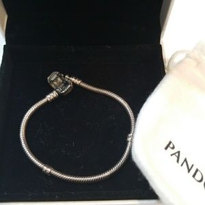 Iconic Silver Charm Pandora bracelet NWOT